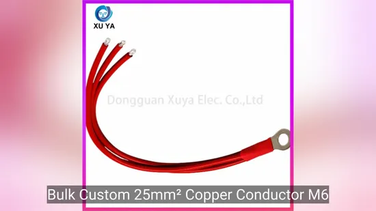 Xt60 to O Ring Terminal Power Cable for Electric Vehicle Battery