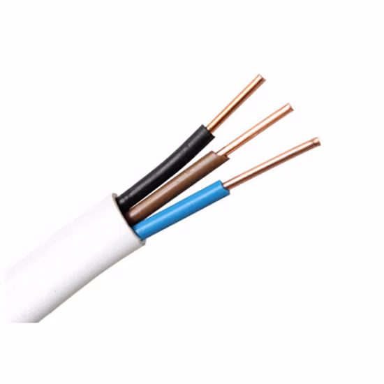 Electric Cable